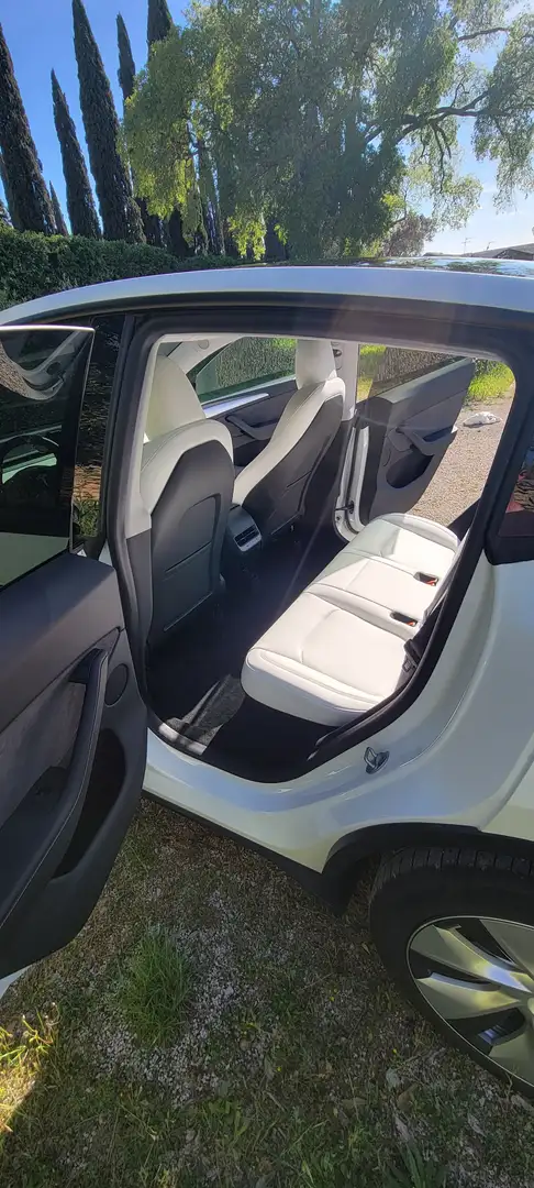 Tesla Model Y Blanc - 1