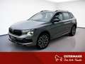 Skoda Kamiq SELECTION 1.0TSI 116PS DSG KAMERA.NAVI+VC.LED.LKRD Grau - thumbnail 1