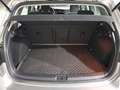 Volkswagen Golf e-Golf ePower Plateado - thumbnail 7
