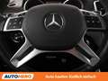 Mercedes-Benz ML 250 ML 250 CDI BlueTEC Grau - thumbnail 19