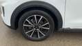 Ford Puma 1.0 EcoBoost MHEV Titanium 125 - thumbnail 5