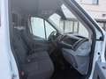 Ford Transit H2L2,régulateur,airco,nouv courroie , Blanc - thumbnail 6