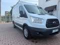 Ford Transit H2L2,régulateur,airco,nouv courroie , Blanc - thumbnail 1