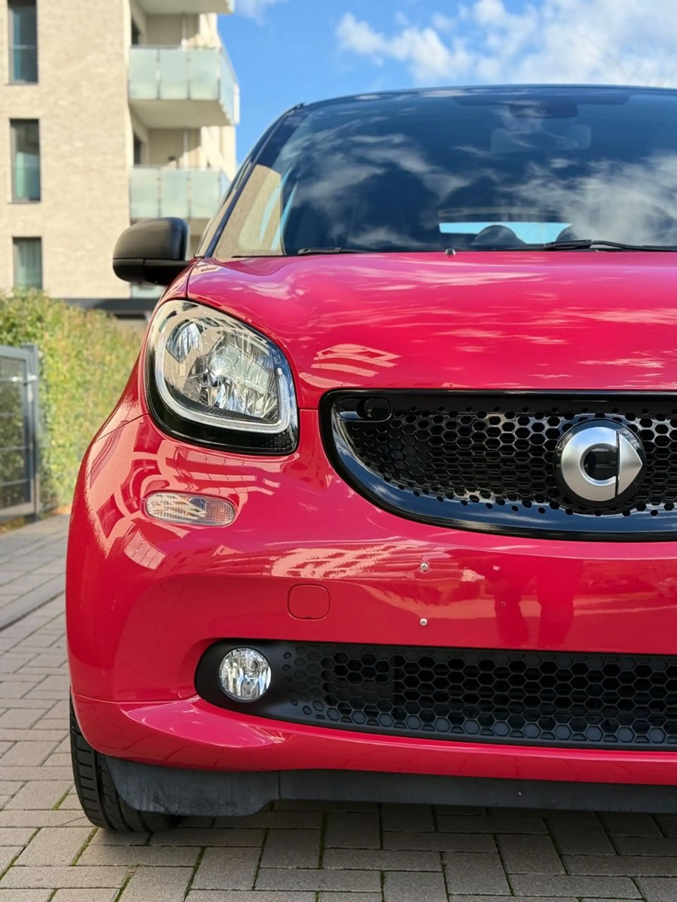 smart forTwo fortwo coupe Basis 52 kW — photo 5