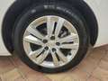 Peugeot 308 SW 1.5BlueHDi S&S Active EAT8 130 Blanco - thumbnail 18