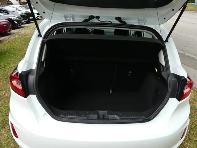 Ford Fiesta view 13