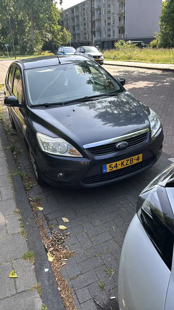 Ford Focus 1.6 Trend Gris - 1