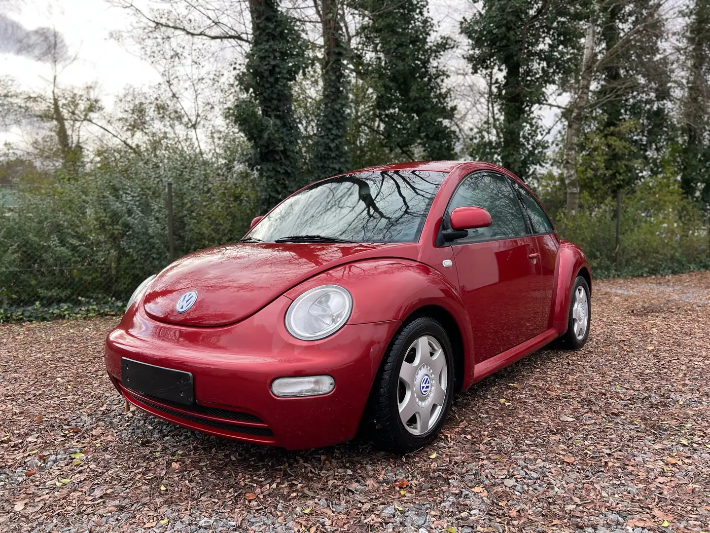 Volkswagen New Beetle 1.9 TDI - 1