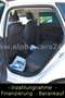 SEAT Leon FR Klima Temp MFL LED SD SH Weiß - thumbnail 14