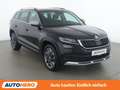 Skoda Kodiaq 2.0 TDI Scout 4x4 Schwarz - thumbnail 8