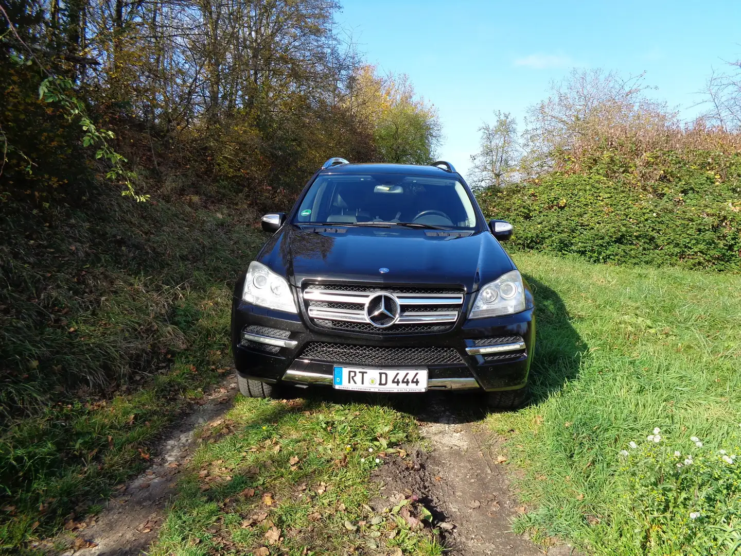 Mercedes-Benz GL 350 GL 350 CDI 4Matic (164.822) 7Sitzplätze Negru - 1