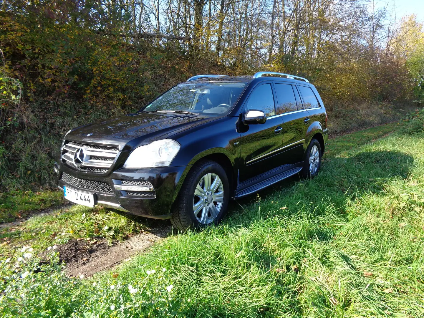 Mercedes-Benz GL 350 GL 350 CDI 4Matic (164.822) 7Sitzplätze Negru - 2