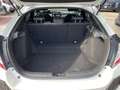 Honda Civic 1.6 5 porte Elegance Navi Bianco - thumbnail 8