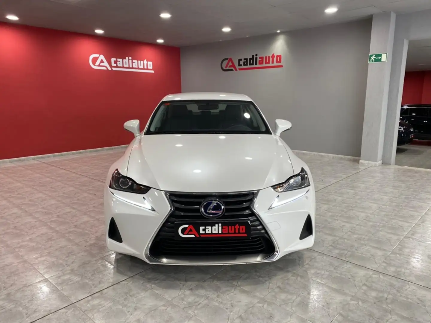 Lexus IS 300 300h Business Plus Blanco - 2