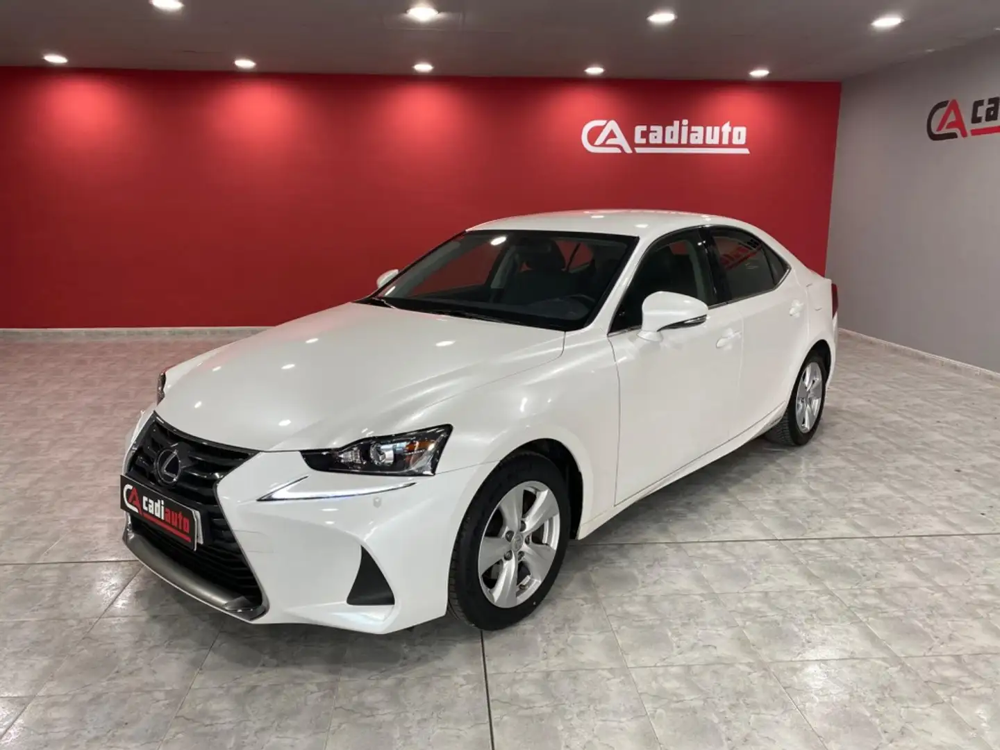 Lexus IS 300 300h Business Plus Blanco - 1
