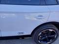 Audi Q5 40 TDI quattro S tronic S line plus Weiß - thumbnail 9