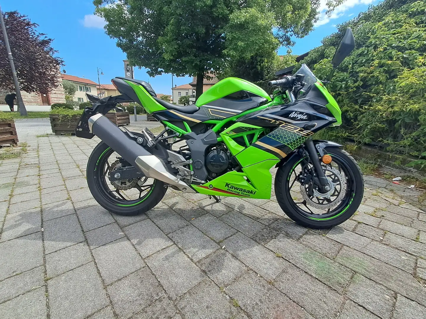 Kawasaki Ninja 125 Sportivo Grün - 1