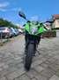 Kawasaki Ninja 125 Sportivo Grün - thumbnail 3