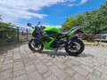 Kawasaki Ninja 125 Sportivo Grün - thumbnail 2