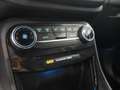 Ford Puma 1.0 EcoBoost MHEV ST-Line X 125 Gris - thumbnail 13