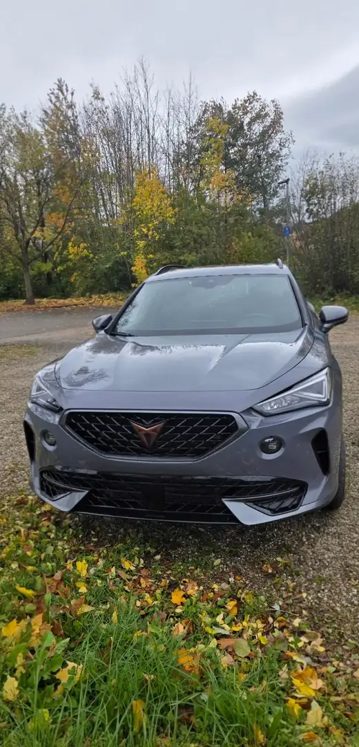 CUPRA Formentor VZ 2.0 TSI 4Drive DSG Grau - 1