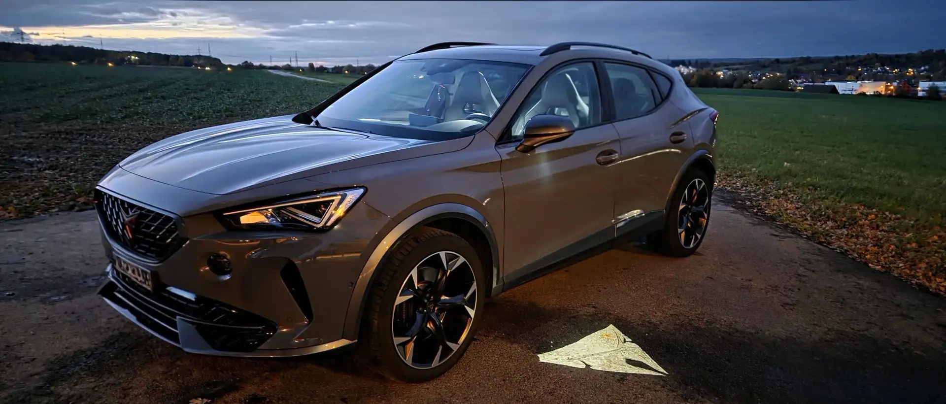 CUPRA Formentor VZ 2.0 TSI 4Drive DSG Grau - 2