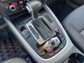 Audi Q5 3.0 V6 tdi Advanced Plus quattro 258cv s-tronic Wit - thumbnail 17