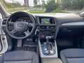 Audi Q5 3.0 V6 tdi Advanced Plus quattro 258cv s-tronic Bianco - thumbnail 14