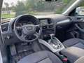 Audi Q5 3.0 V6 tdi Advanced Plus quattro 258cv s-tronic Bianco - thumbnail 6