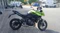 Triumph Tiger Sport 660 2,99% Sonderfinanzierung Vert - thumbnail 3