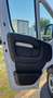 Fiat Ducato Ducato 33 2.3 MJT 140CV PM-TM Bianco - thumbnail 9