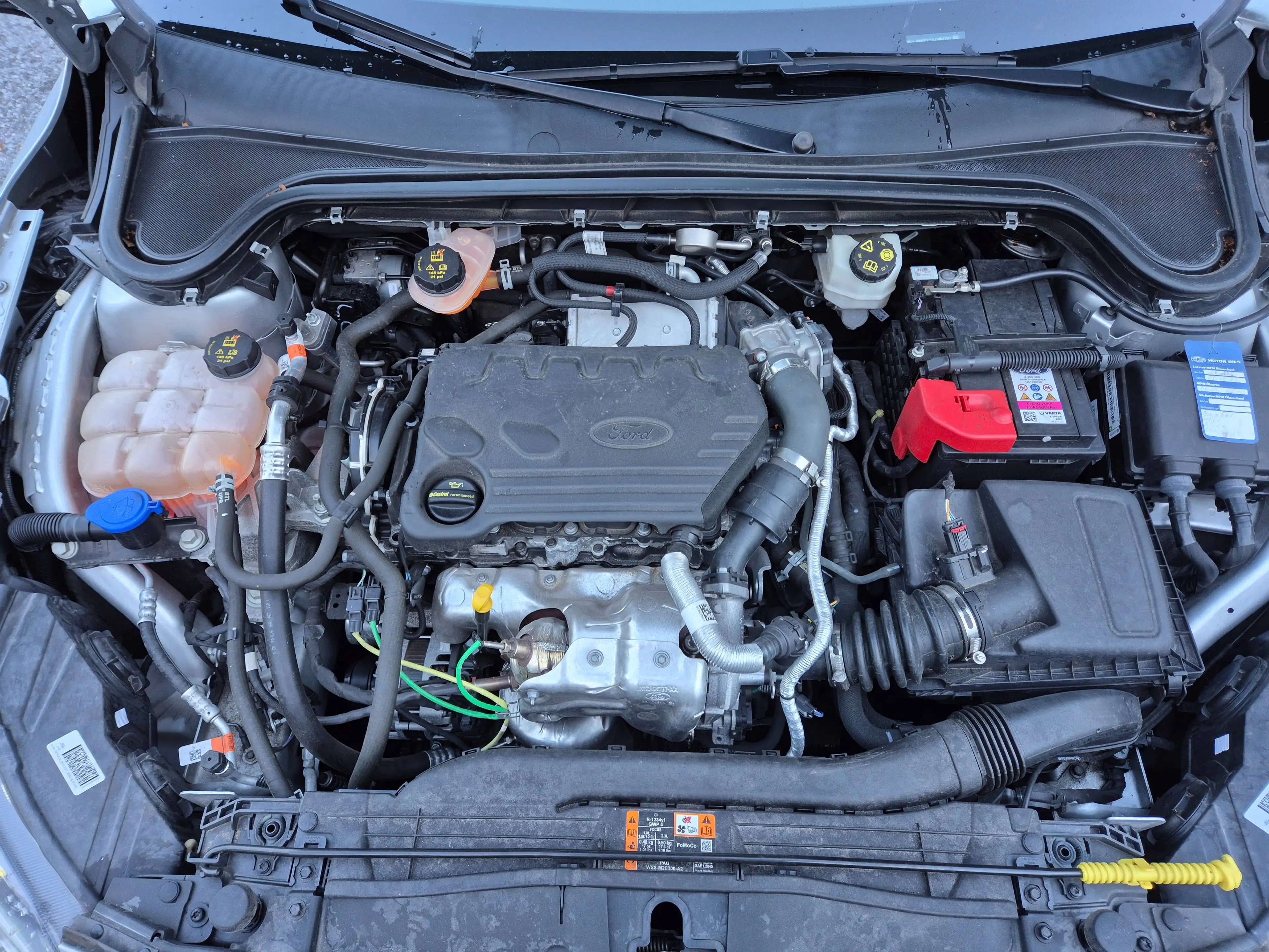Ford Focus Cool & Connect LED Sitzhzg Lenkradhzg Carplay — photo 13