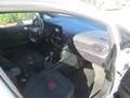 Ford Fiesta 1.0 Ecoboost 100 CV 5 porte ST-Line Wit - thumbnail 11