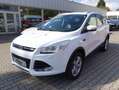 Ford Kuga Titanium *ALLRAD*XENON*GLASDACH* Weiß - thumbnail 1
