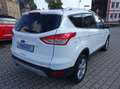 Ford Kuga Titanium *ALLRAD*XENON*GLASDACH* Weiß - thumbnail 5