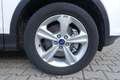 Ford Kuga Titanium *ALLRAD*XENON*GLASDACH* Weiß - thumbnail 7