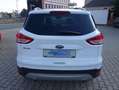 Ford Kuga Titanium *ALLRAD*XENON*GLASDACH* Weiß - thumbnail 6