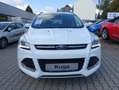 Ford Kuga Titanium *ALLRAD*XENON*GLASDACH* Weiß - thumbnail 2