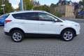 Ford Kuga Titanium *ALLRAD*XENON*GLASDACH* Weiß - thumbnail 4