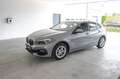 BMW 118 i, Zetelverwarming, stuurwielverwarming Grijs - thumbnail 14