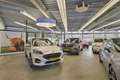 Ford Kuga ST-Line X 2.5 PHEV AUT 225pk, Panoramadak, Trekhaa Gris - thumbnail 40