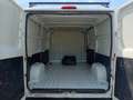 Fiat Ducato 11 2.3 JTD PM Furgone Wit - thumbnail 11