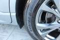 Ford Kuga Kuga 1.5 ecoblue ST-Line X 2wd 120cv auto Argento - thumbnail 12