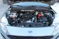Ford Kuga Kuga 1.5 ecoblue ST-Line X 2wd 120cv auto Argento - thumbnail 9