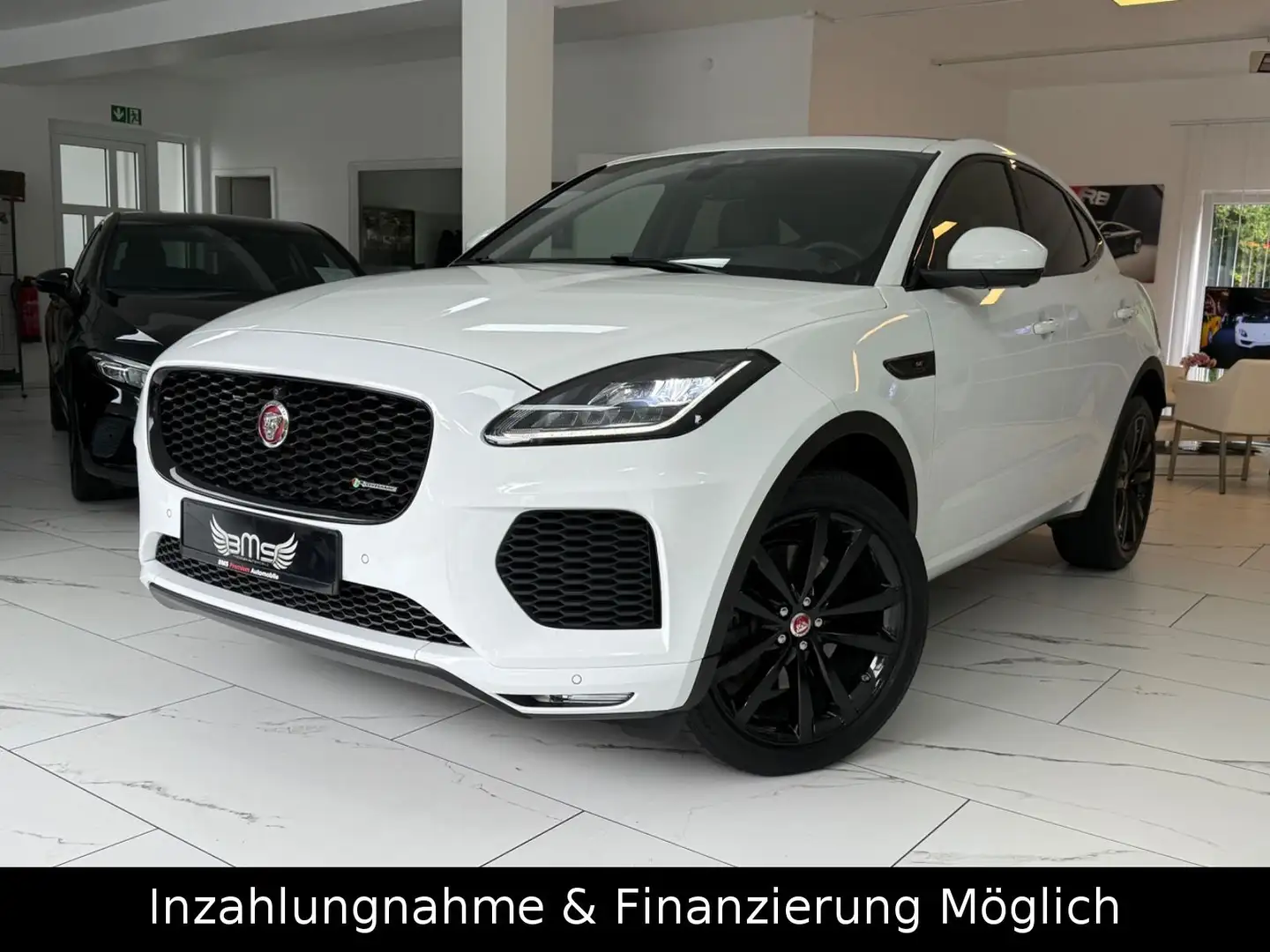Jaguar E-Pace E-PACE R-Dynamic AWD Pano.Garantie Weiß - 1