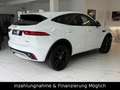 Jaguar E-Pace E-PACE R-Dynamic AWD Pano.Garantie Weiß - thumbnail 3