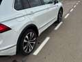 Volkswagen Tiguan 2.0TDI Sport 4Motion DSG 140kW Blanco - thumbnail 5