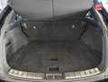 Lexus NX 450h+ 450h+ Executive 4WD MY24 Sieges cuir Noir - thumbnail 14