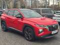 Hyundai TUCSON Blackline Mild-Hybrid 2WD Pano+Winter Paket Rot - thumbnail 3