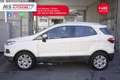 Ford EcoSport Ford EcoSport 1.5 TDCi 95 CV Titanium Unicopropri Alb - thumbnail 4